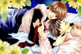 BUY NEW yamato nase - 132299 Premium Anime Print Poster